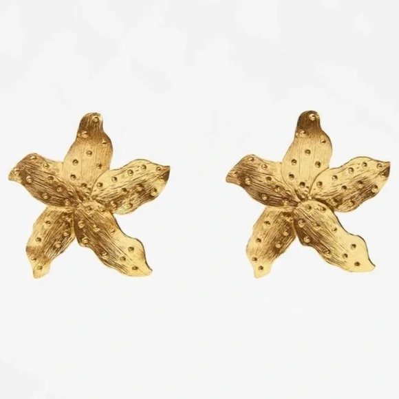 Anthro Starfish stud earrings - Picture 5 of 6